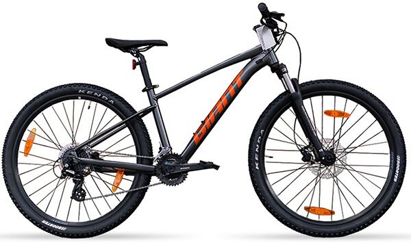 Xe đạp địa hình thể thao Giant Talon 29 3 2022
